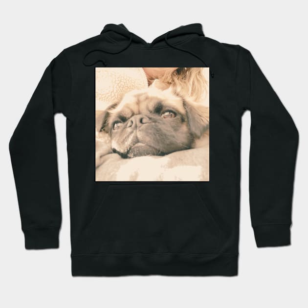 Pug Hoodie by Jujucreation